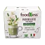 Latte\u0020au\u0020matcha\u0020et\u0020au\u0020ginseng\u0020