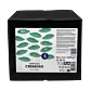Espresso Cremoso - Budget